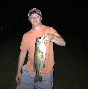 Meet your Posher, Bradley